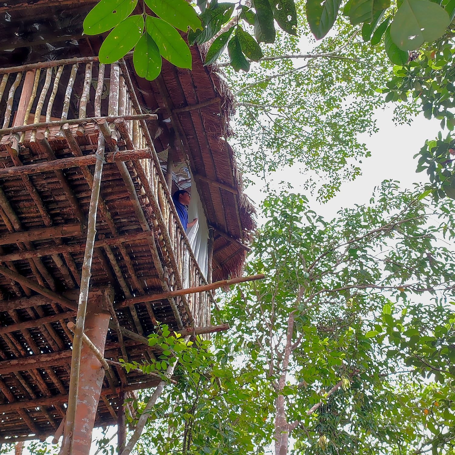 Staycation Selangor nature treehouse glamping Selangor at Atasan Nature Retreat