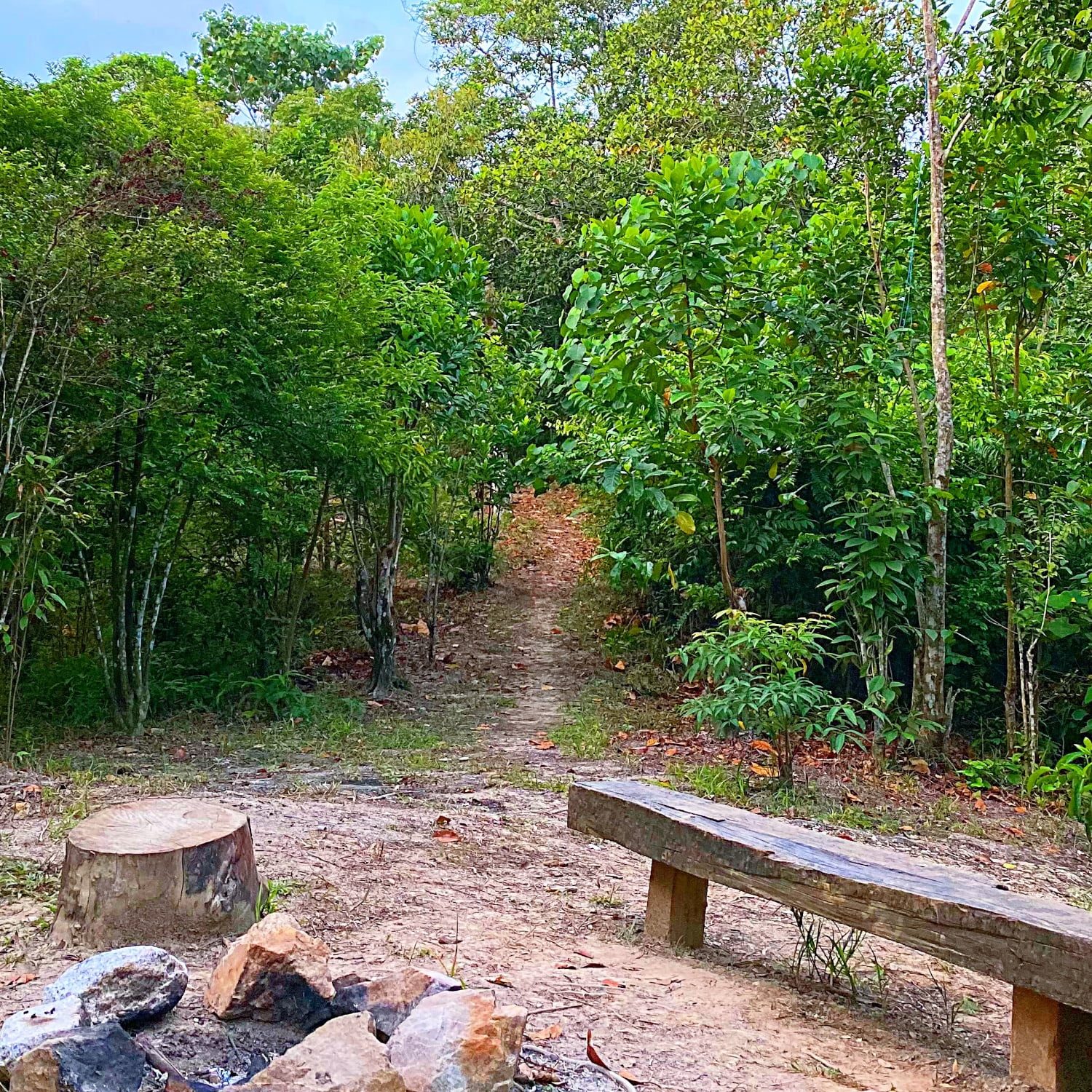 camping ground Selangor at Atasan Nature Retreat 2