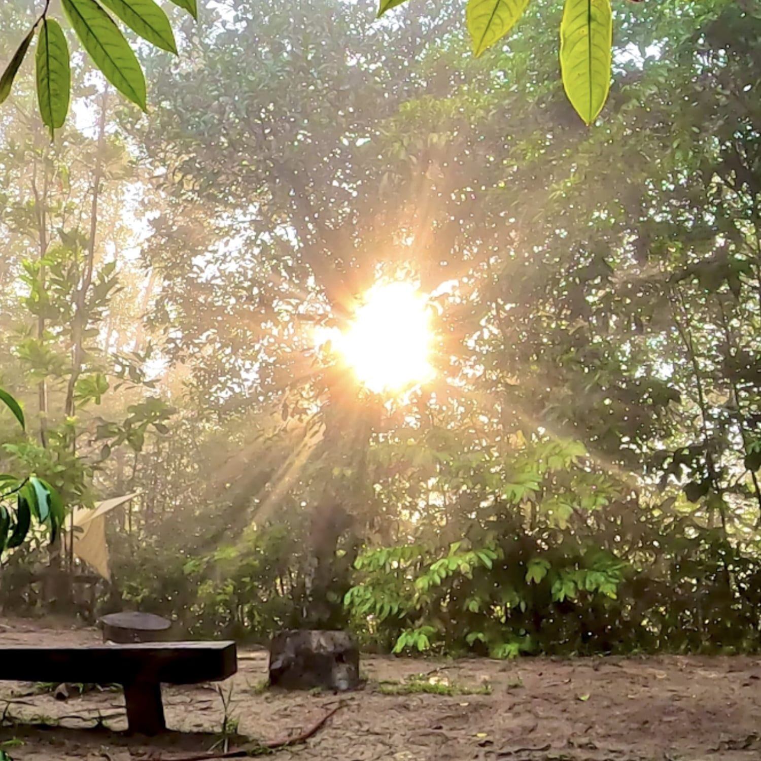 camping spots in Selangor at Atasan Nature Retreat 2